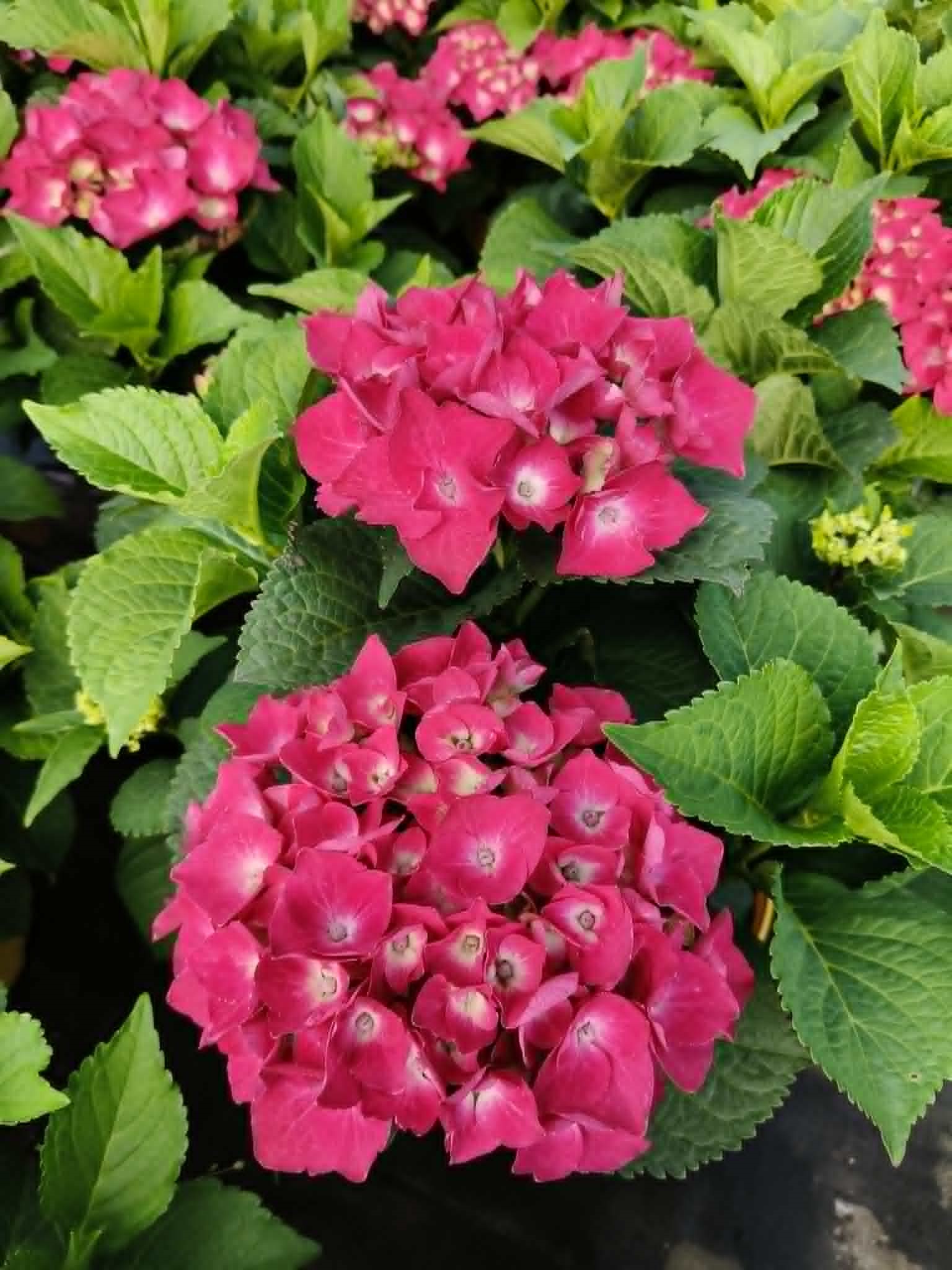 1908a169-8b4f-4eb1-8aa4-030a4c7d7034